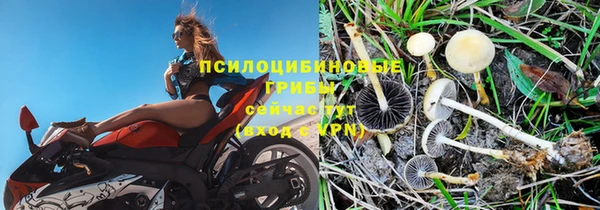 соль курить ск Арсеньев